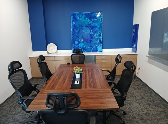 Synergy Conference/Meeting Room